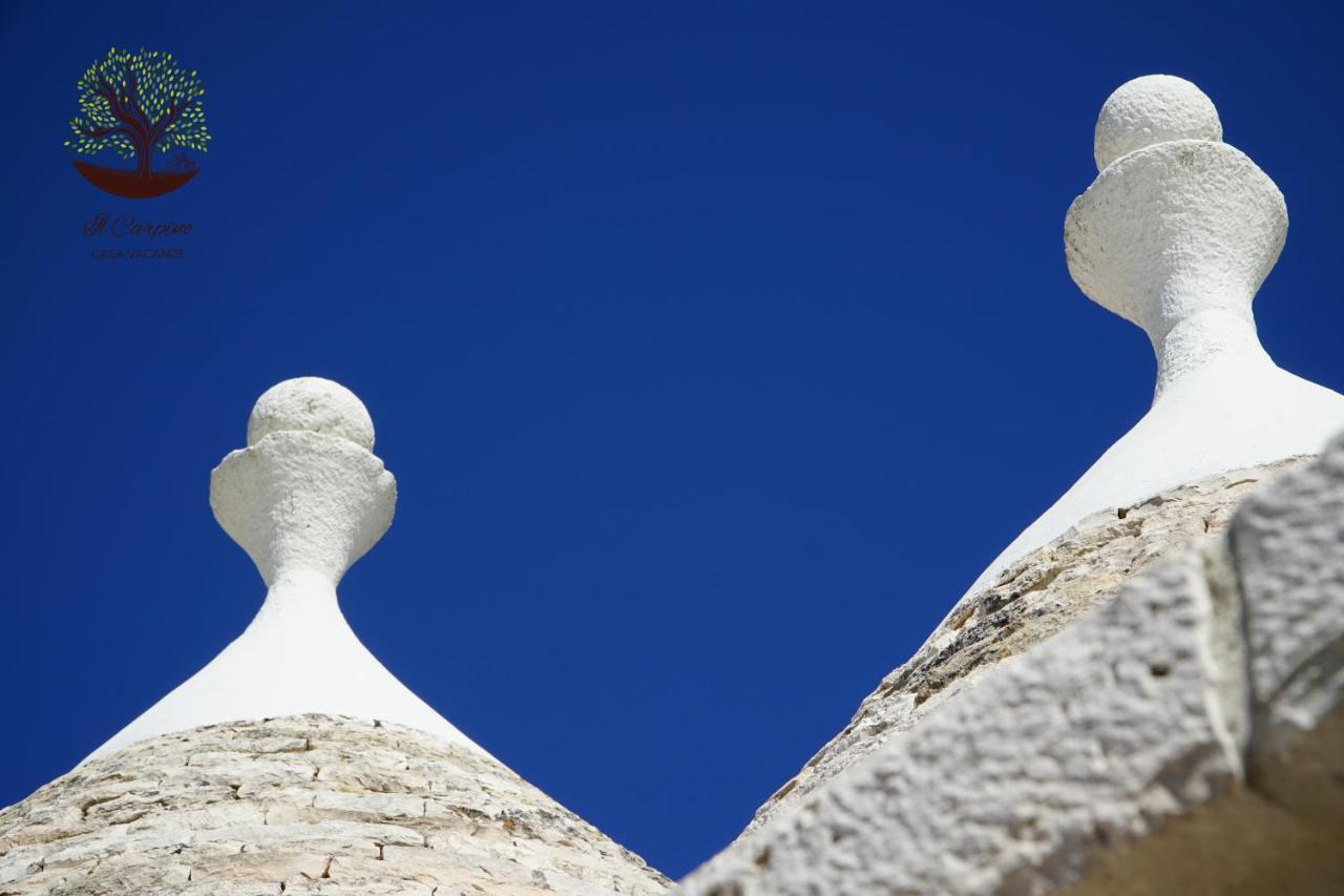 فيلا Il Carpino مارتينا فرانكا المظهر الخارجي الصورة